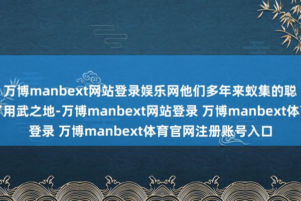 万博manbext网站登录娱乐网他们多年来蚁集的聪敏与警戒终于迎来了用武之地-万博manbext网站登录 万博manbext体育官网注册账号入口