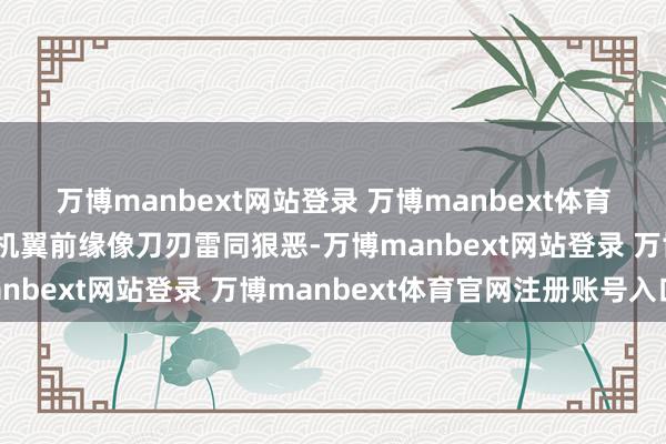 万博manbext网站登录 万博manbext体育官网注册账号入口它的机翼前缘像刀刃雷同狠恶-万博manbext网站登录 万博manbext体育官网注册账号入口
