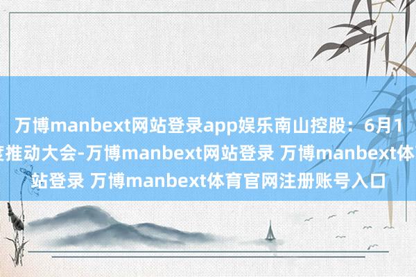 万博manbext网站登录app娱乐南山控股：6月16日将召开2024年度推动大会-万博manbext网站登录 万博manbext体育官网注册账号入口