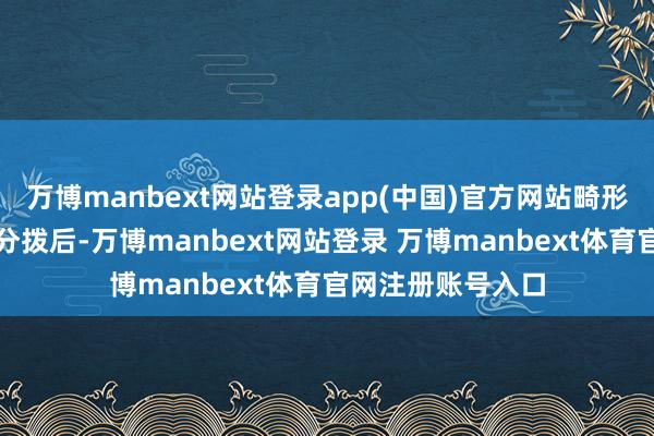 万博manbext网站登录app(中国)官方网站畸形辅导：年度权益分拨后-万博manbext网站登录 万博manbext体育官网注册账号入口